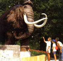 Mammut